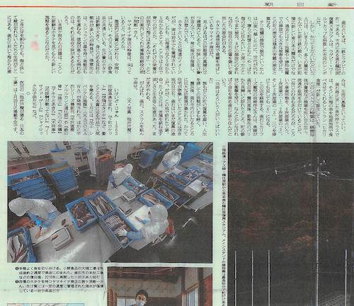 朝日新聞の記事