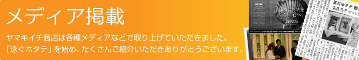 メディア掲載