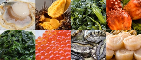 ヤマキイチ定期便