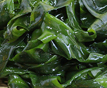 わかめ・こんぶ