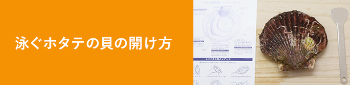 泳ぐホタテの貝の開け方