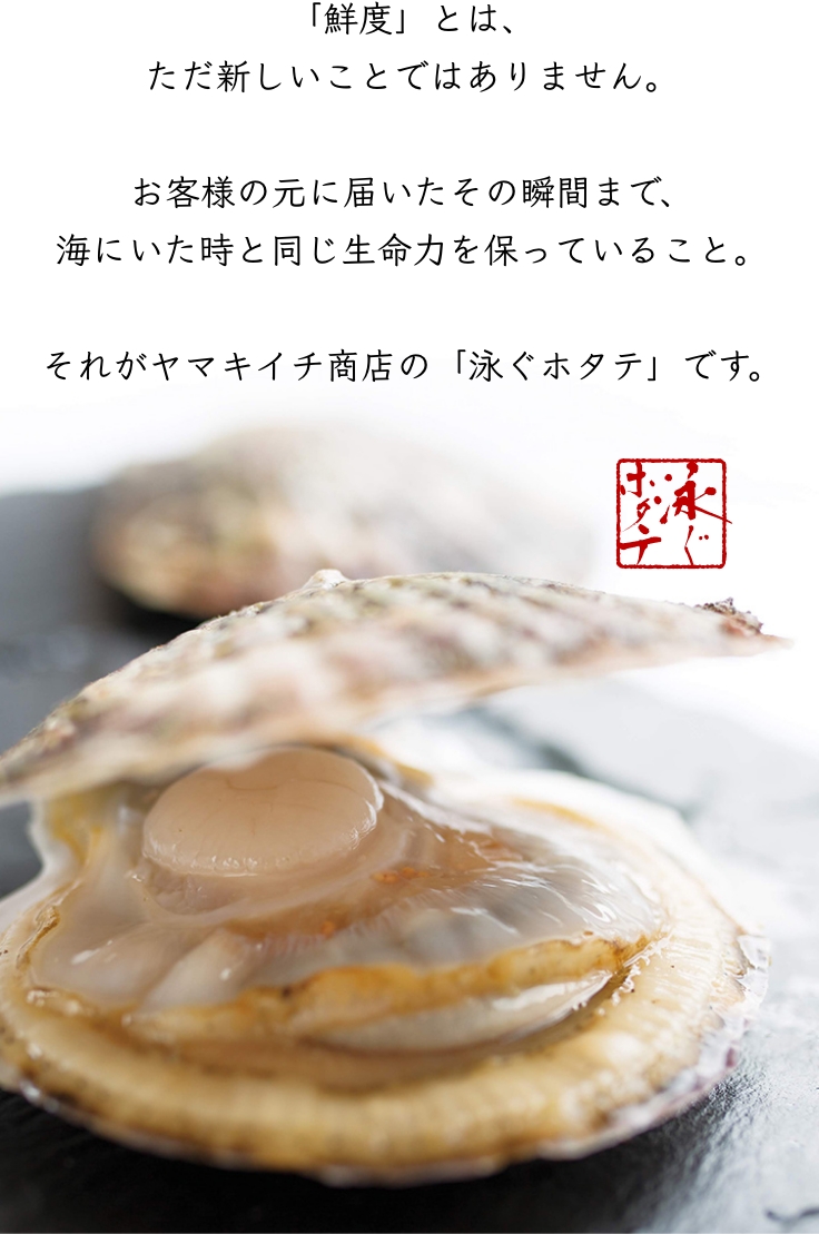 泳ぐホタテの生貝柱KV_SP