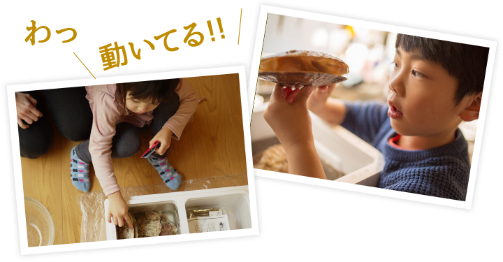 わっ、動いてる!