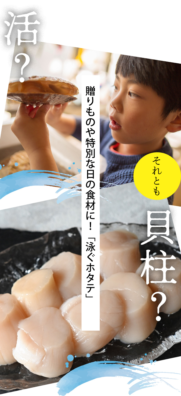 泳ぐホタテの生貝柱KV_PC