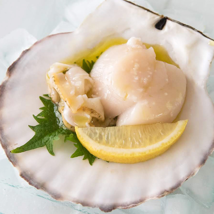 泳ぐホタテ（殻付き）