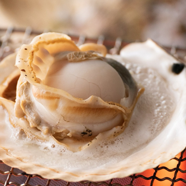 泳ぐホタテ（殻付き）