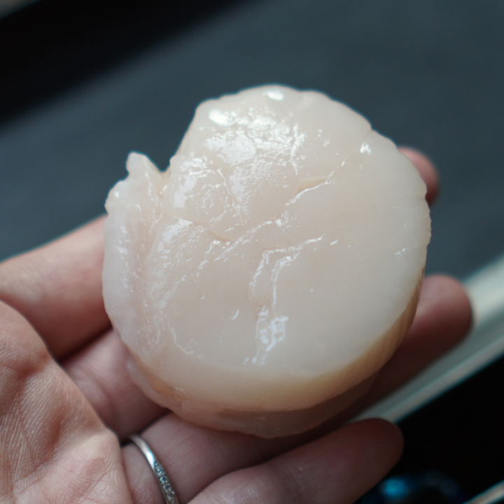 泳ぐホタテ生貝柱