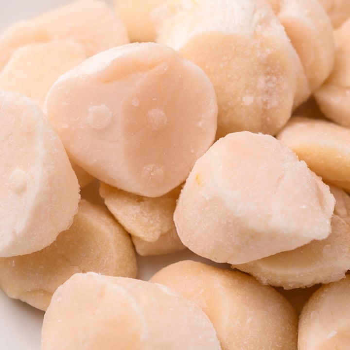 泳ぐホタテ貝柱