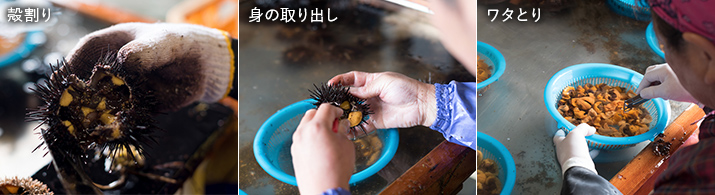 殻割り、身の取り出し、ワタとりの様子