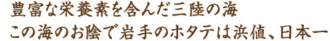 豊富な栄養素を含んだ三陸の海この海のお陰で岩手のホタテは浜値、日本一