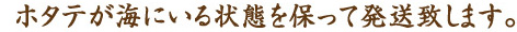 ホタテが海にいる状態を保って発送致します。