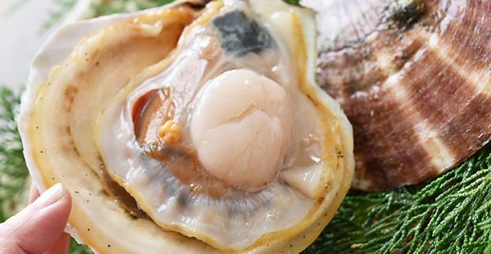 泳ぐホタテのおいしい食べ方