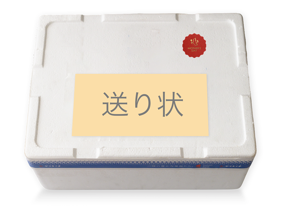 発泡スチロールの包装イメージ