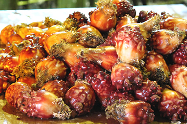 ４年もののほや画像