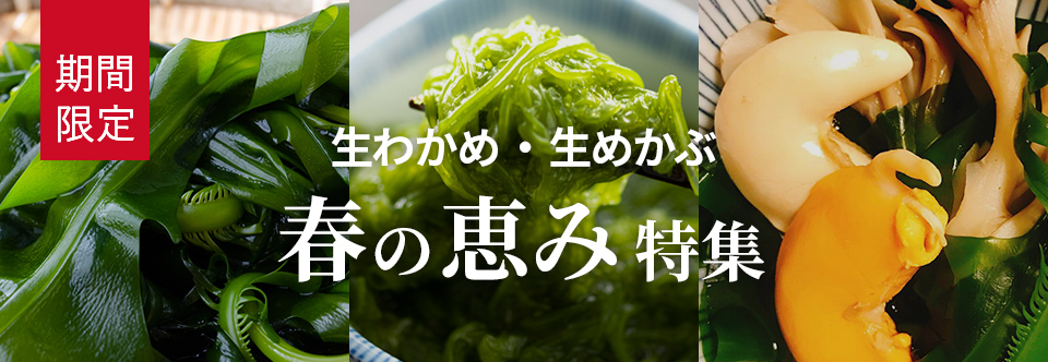 生わかめ生めかぶ 春の恵み特集