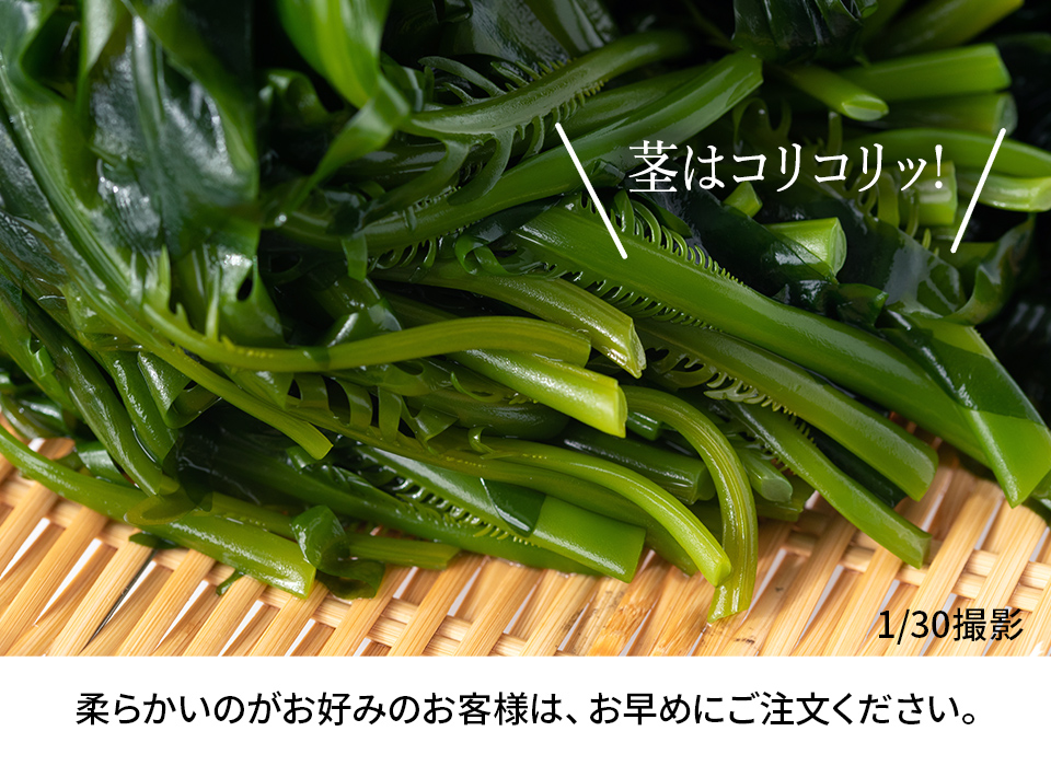 写真：茎はコリコリ