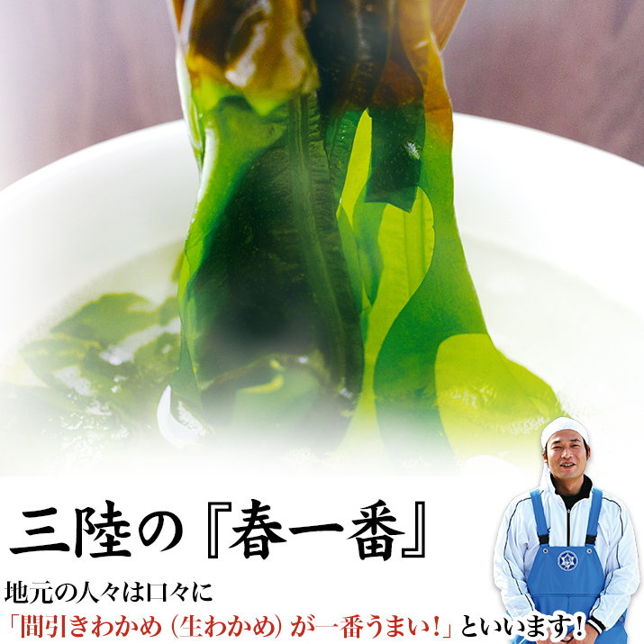三陸の春一番　生わかめ