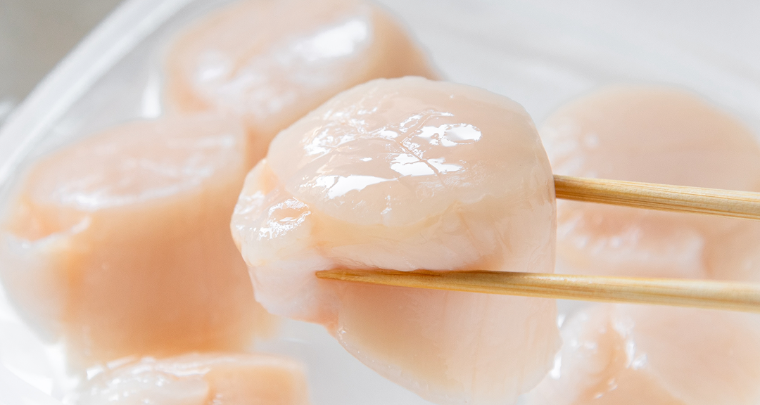 泳ぐホタテの塩水貝柱