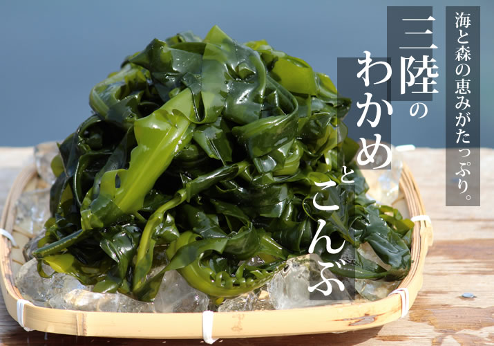 海と森の恵みがたっぷり。三陸のわかめと昆布
