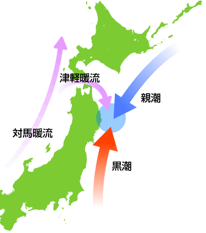潮の流れ