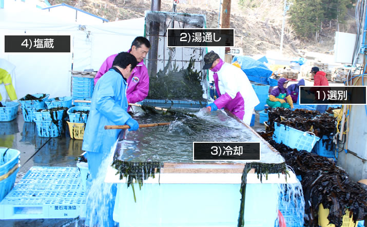 三陸産塩蔵わかめの加工方法