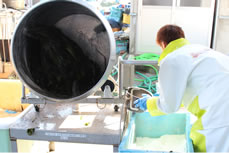 わかめに塩をまぶしている様子