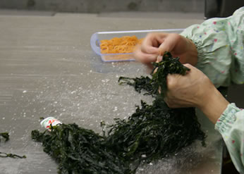 わかめを手作業で丁寧に選別します。