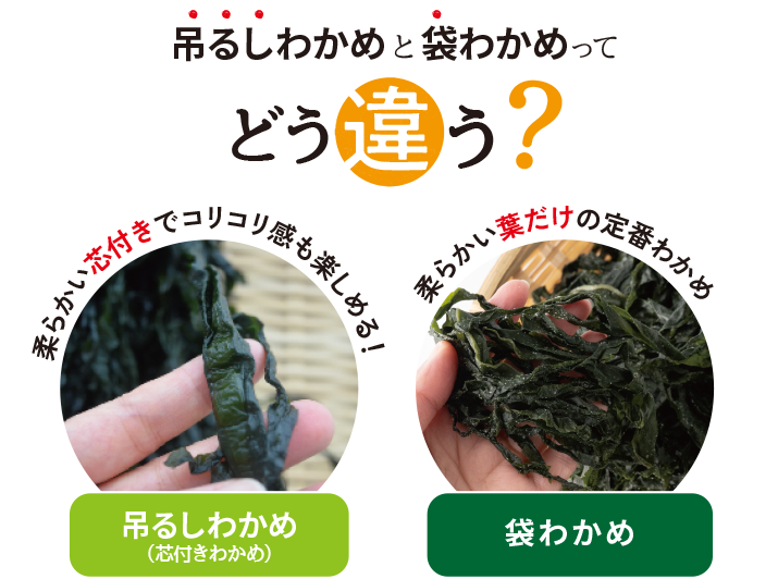 吊るしわかめと袋わかめ どう違う？