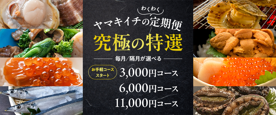 定期便