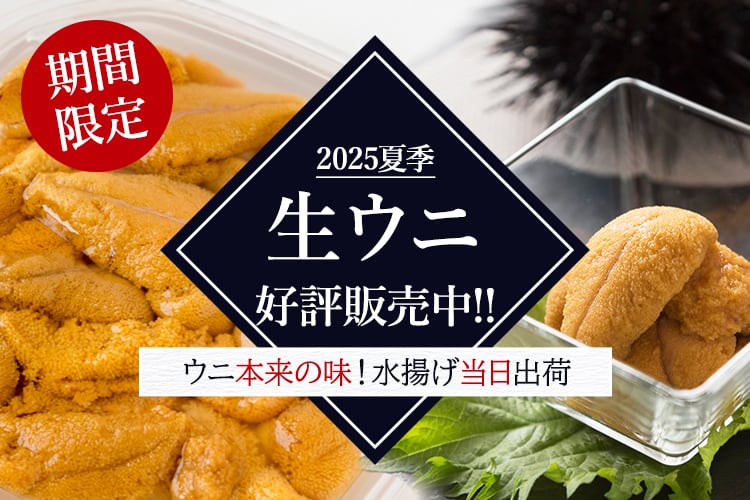 uni2026start_slider_sp.jpg