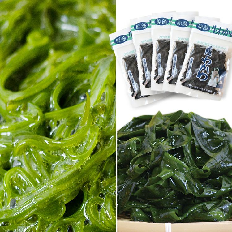 めかぶページ 生めかぶ・わかめセット (生めかぶ250g×2パック・塩蔵わかめ50g×5袋