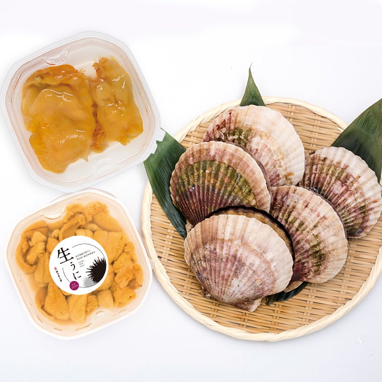 泳ぐホタテセット10（大活ホタテ5枚・ほや剥き身200g、生うに150g